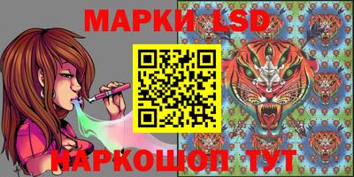 мяу мяу мука Гатчина