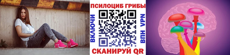 Псилоцибиновые грибы Psilocybine cubensis Алейск