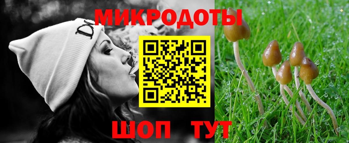 Алейск  Галлюциногенные грибы Psilocybe  цена   Вход с VPN 