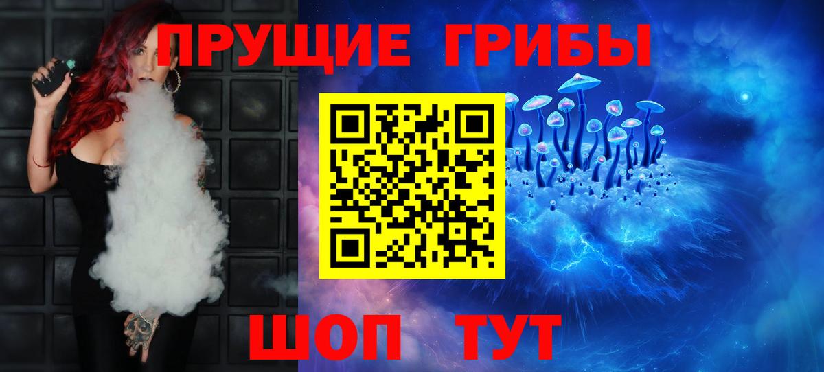 купить  цена  Псилоцибиновые грибы мицелий  Вход с VPN  Алейск 