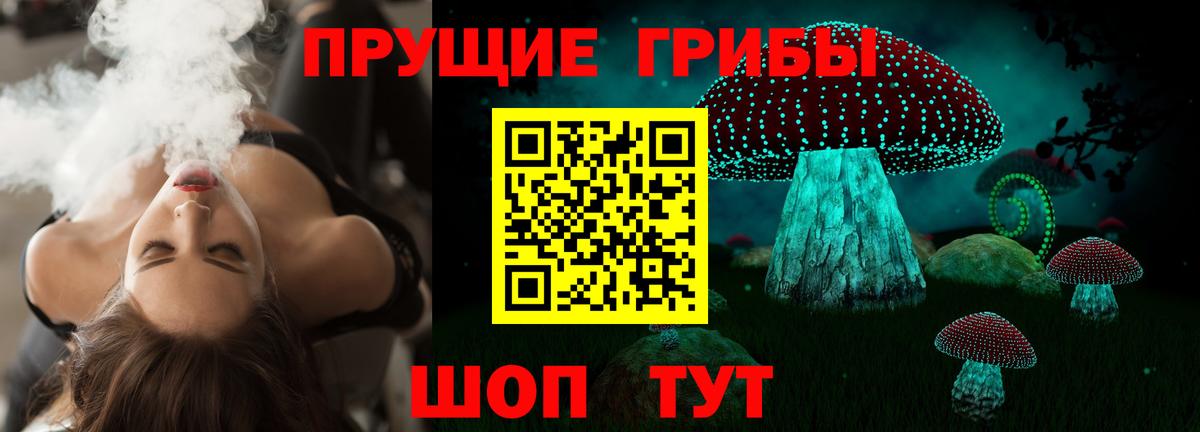 Каннабис Алейск